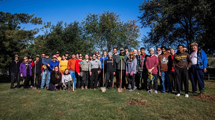 Group planting trrees